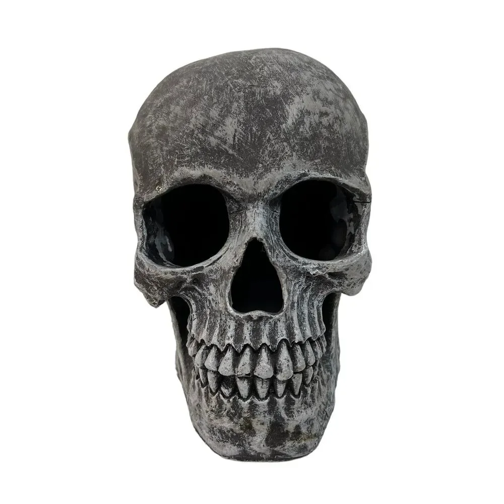 Skull for Halloween Decoration‎ Graveyard Outdoor Grey Hollow Haunted House